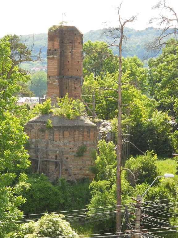 Casa Domneasca Hotel Curtea De Arges Bagian luar foto