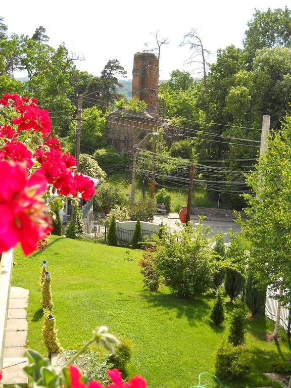 Casa Domneasca Hotel Curtea De Arges Bagian luar foto